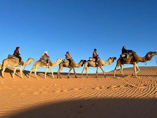 Camel caravan crossing the Sahara desert in Morocco